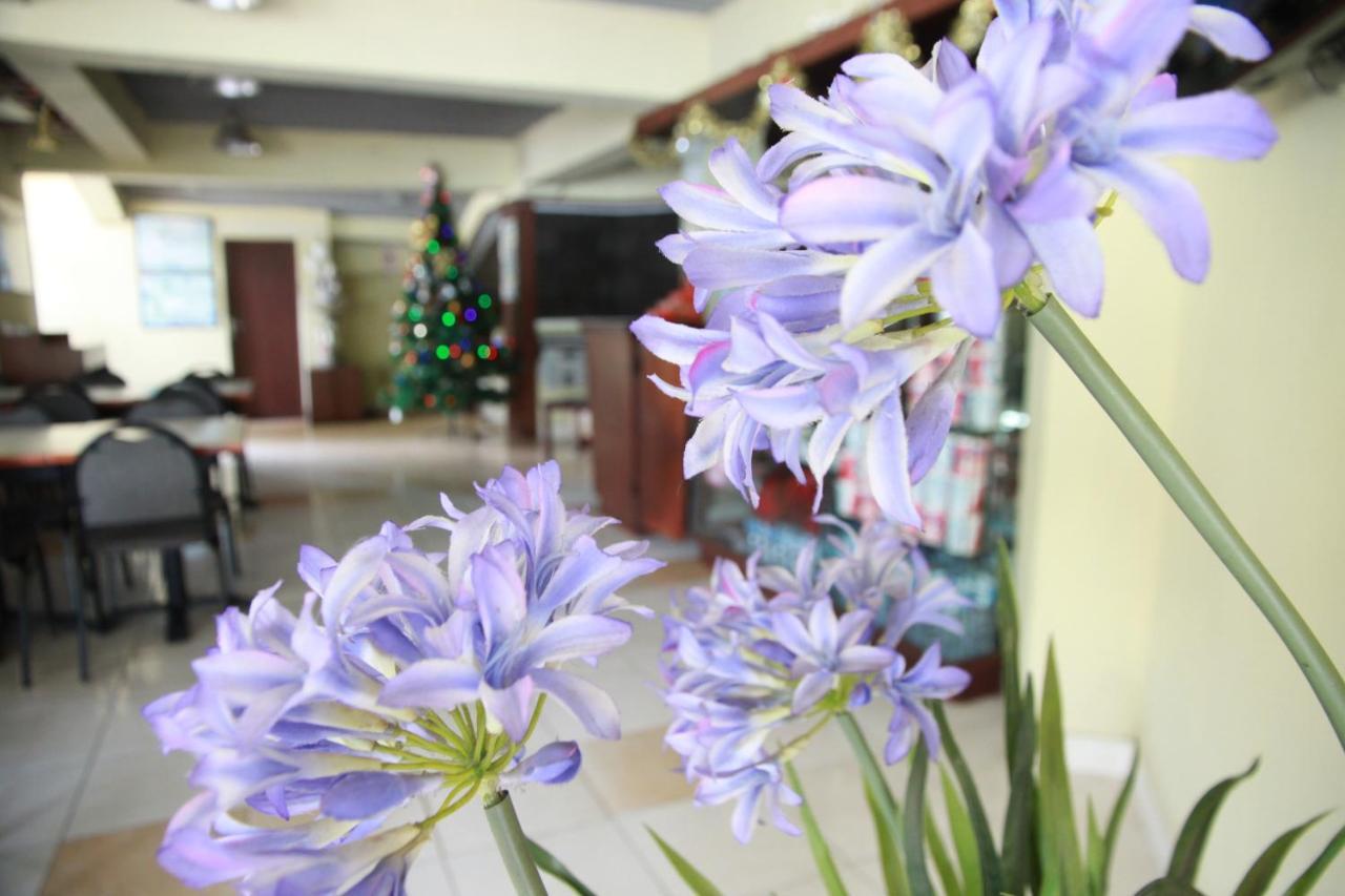 Pandu Lakeside Hotel Parapat Ngoại thất bức ảnh